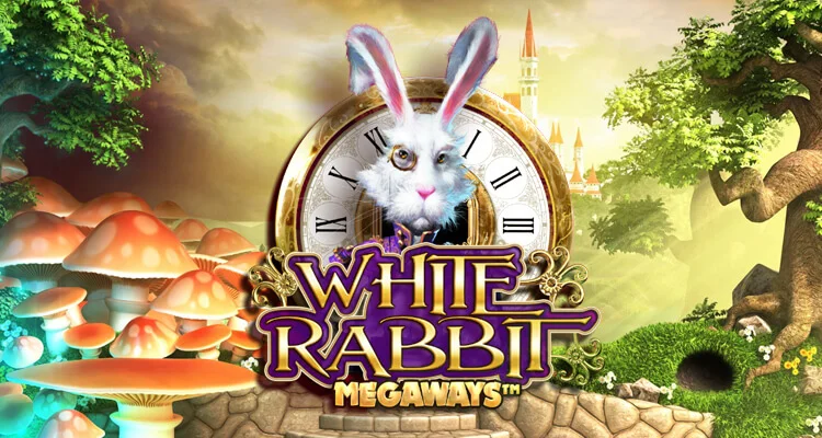 ホワイトラビット(White Rabbit)とは？|賭け方|配当